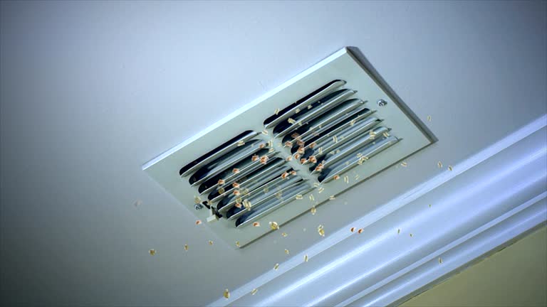 Best Home Air Vent Cleaning  in South Bay, FL